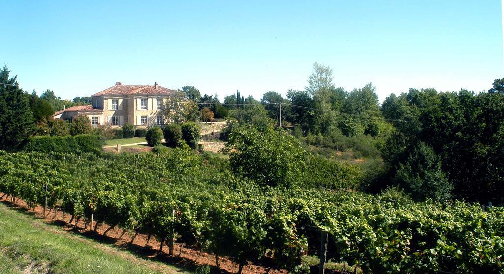 Chateau De Rouffiac Bed & Breakfast Duravel Екстериор снимка